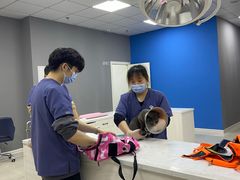 -福州肆爪动物医院