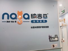 -纳吉亚猫专科动物诊疗中心(蒋宅口分院)