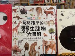 -猫的天空之城概念书店(印象城购物中心店)