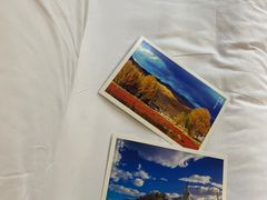 -成都蓝城悦杏温泉美食酒店(宽窄巷子店)
