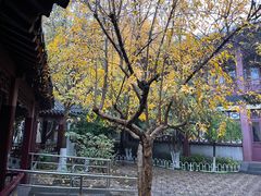 -郑和公园