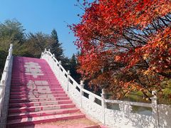 -田野绿世界
