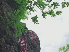 -朴园