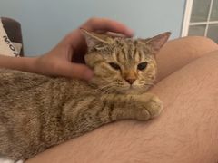 -瑞派康怡24h宠物医院·犬猫医疗中心·微创绝育(瑞景分院)