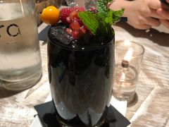 黑莓莫吉托-Cera 23