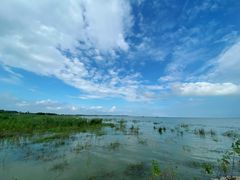-泗洪洪泽湖湿地景区