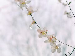 -宣武艺园