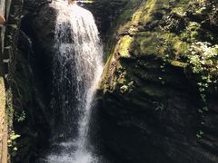 -牛背梁国家森林公园