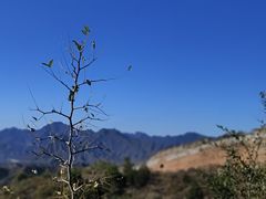 -蟠龙山长城景区