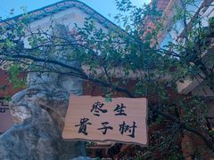 -东江渔村·古典园林·30年粤菜老字号(太和店)