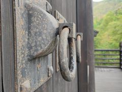 -大唐贡茶院