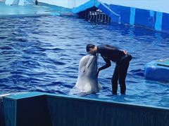 -福州罗源湾海洋世界旅游区