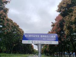 -玄武湖景区-情侣园游乐场