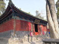 -嵩山少林文化旅游景区