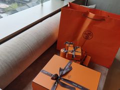 -Hermes爱马仕(成都远洋太古里店)