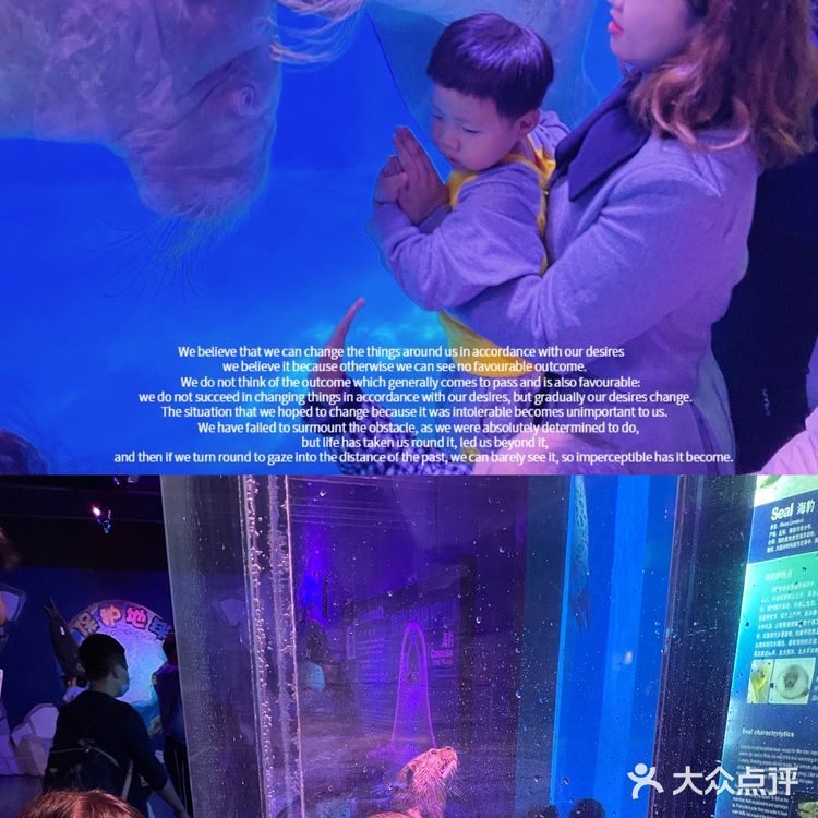 秋日遛娃海洋馆一日游