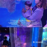 秋日遛娃海洋馆一日游