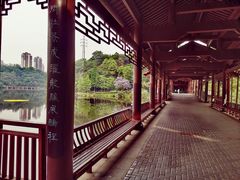 -重庆彩云湖湿地公园