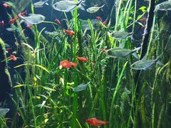 -成都浩海立方海洋公园