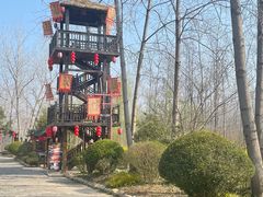 -合肥滨湖国家森林公园