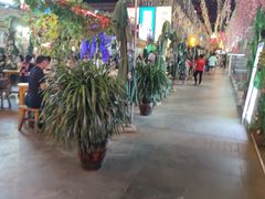 -蜜雪冰城(曼哈顿十字路口店)