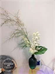 -平行宇宙普拉提健身