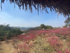 -广州莲花山旅游区