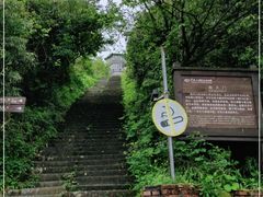 -武陵山森林公园