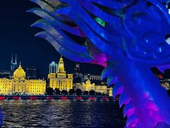 -新龙船黄浦江餐饮游船官方自营店