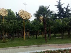 景点-紫荆山公园