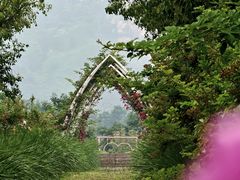 -紫云台香草园