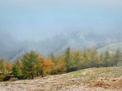 -蔚县茶山村