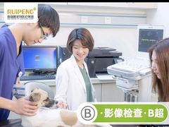 -美联众合爱康动物医院•复杂内科•肿瘤科•牙科•腔镜诊疗中心