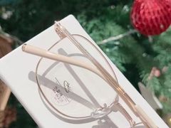 -爱视眸Eyeblling眼镜·依视路·蔡司镜片折扣店(百联南方商城购物中心)