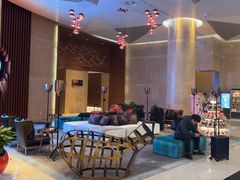 -南京禄口机场雅高铂尔曼大酒店