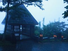 -三亚亚龙湾人间天堂鸟巢度假村