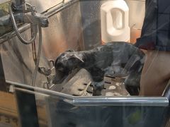 -PETKIT小佩宠物(古北店)