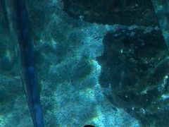 -暹罗海洋世界