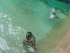 -蓬莱欧乐堡海洋极地世界