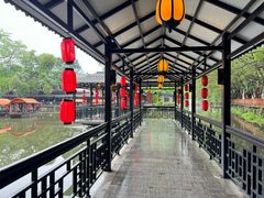 -侨美·唐荔园·40年地道粤菜