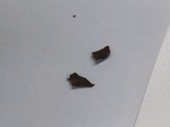 -奈雪的茶(天河城店)