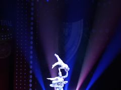 -珠海横琴长隆《卡卡虎奇遇记》