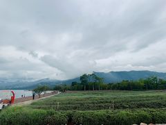 -抚仙湖禄充风景区