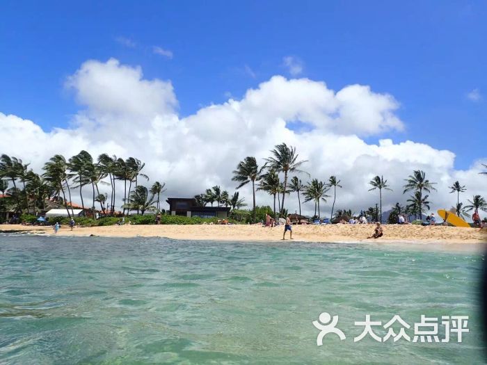 poipu beach park-图片-夏威夷州景点-大众点评网