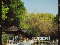 -深圳国际园林花卉博览园