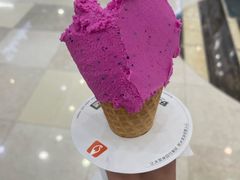 -野人先生Gelato(上海长宁龙之梦店)