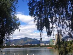 -飞来湖湿地公园