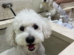 -暖阳宠物医院·犬猫康复中心·骨科