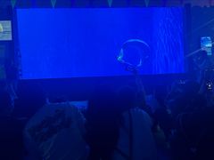 -多彩贵州城极地海洋世界
