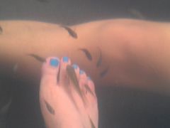 小鱼池-天目湖御水温泉·度假酒店